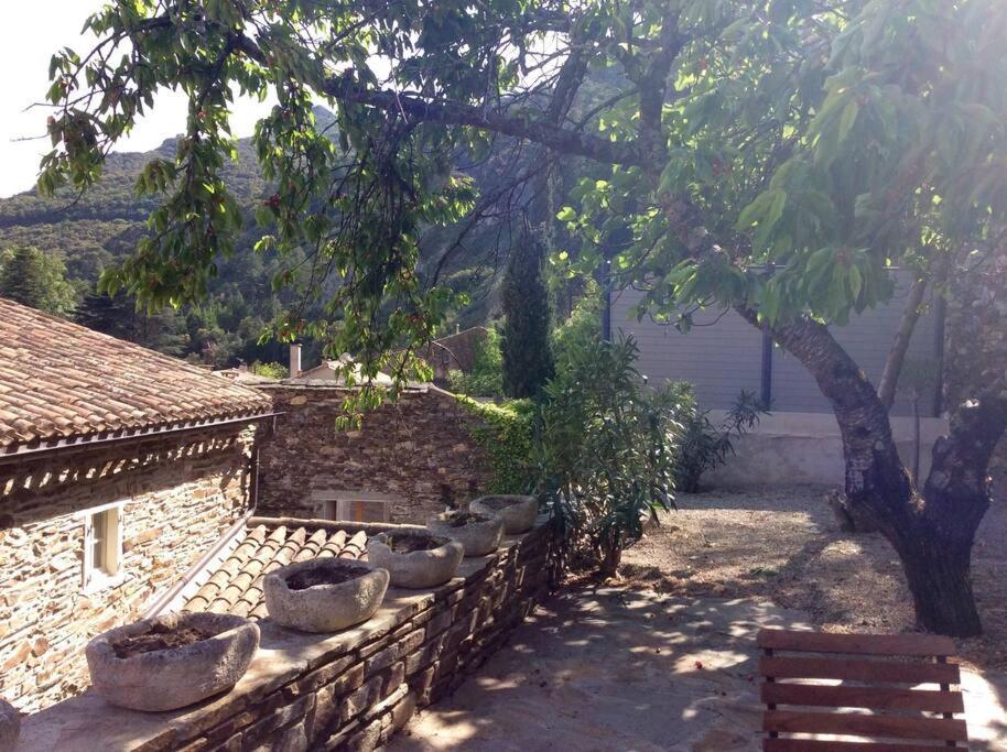 Villa Les Terrasses Cabrespine