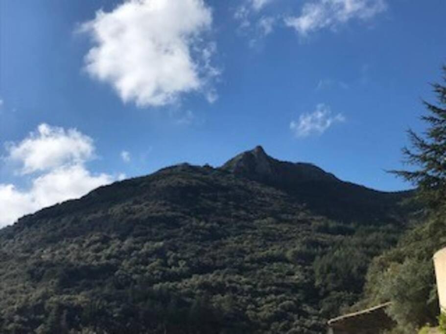 Les Terrasses Villa *